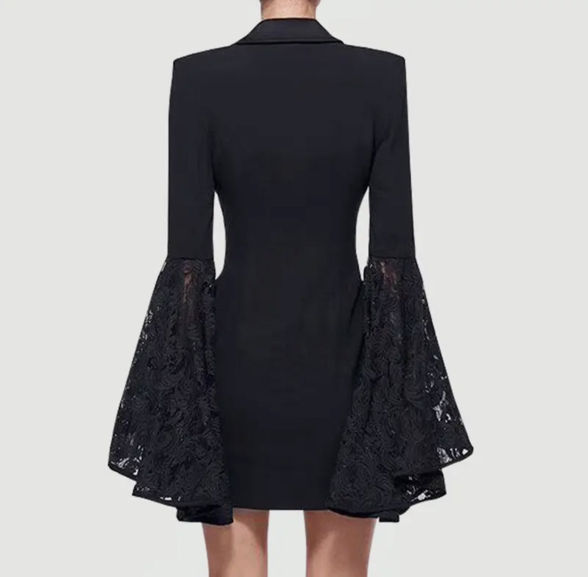 Lace Sleeve Blazer/Dress