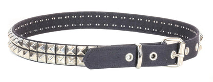 2row Canvas Studded Belt